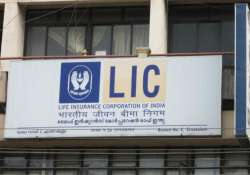 lic to increase equity investment this fiscal chairman