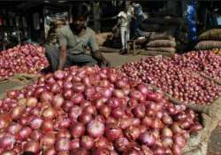 onion prices down by rs 10 kg on new crop arrivals