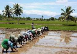 retail inflation for farm rural workers eases in sept