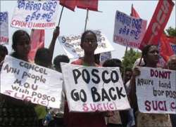 six lakh trees to be cut for posco project