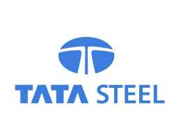 steel demand in india to remain high tata steel