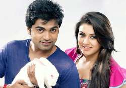 hansika motwani simbu confirm relationship