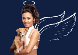 gulaab gang actress tannishtha turns angel for peta