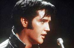 elvis presley s hair auctioned for 18 300