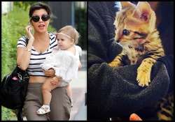 kourtney kardashian brings in home a feline this christmas see pics