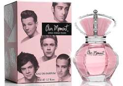 after our moment one direction unveils that moment