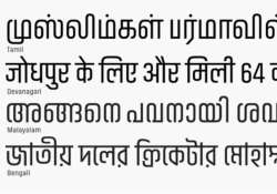 online content in indian languages low says expert