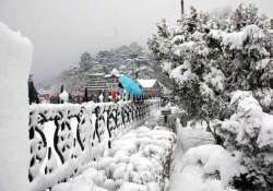 head to shimla kufri for white valentine s day