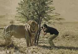 crazy or committed what will you call these wildlife photographers