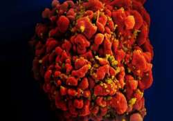 anti hiv antibody shows promise in first human trial