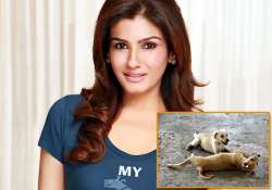 raveena adopts stray puppies see pics