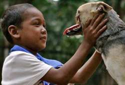 dog in phillipines loses its snout while saving two girls may undergo two surgeries