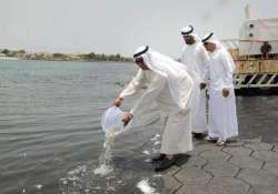 dubai municipality releases 70 000 baby fishes into sea