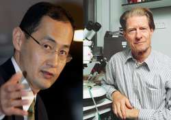 gurdon yamanaka win nobel medicine prize