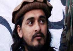 hakimullah mehsud was a wanted man provided safe haven for al qaeda us