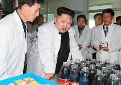 forget hangovers north korea invents drink that doesn t leave you tipsy the next day