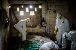 ebola cases jumps to over 13 700 who