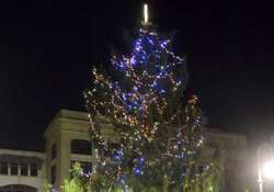 this town s ugly christmas tree prompts public outcry