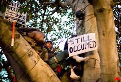 la protesters defy eviction efforts go to court