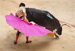 no gorings in final san fermin bull run in spain