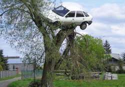 poland villagers teach reckless driver a lesson car hoisted on a tree