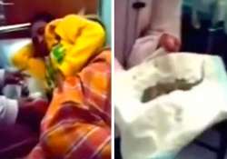 shocking indonesian woman gives birth to lizard