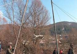 the bizarre dog spinning ritual of bulgaria