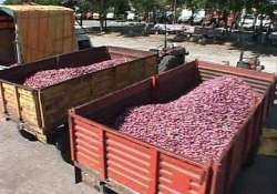 bjp slams delhi govt for failing to rein in onion prices