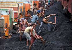 cvc tells cbi to probe coal block allocations since 1993