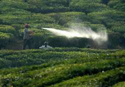 campaign against use of pesticides in bangalore