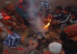 cold conditions persist in punjab haryana