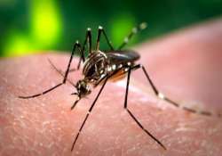 dengue cases cross 100 mark in delhi