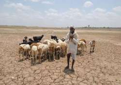 drought looms over rajasthan as 23 districts got deficit rains