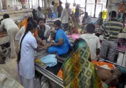 encephalitis claims 9 more lives toll crosses 300 mark