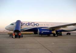 flight hit by a bird makes emergency landing in jaipur