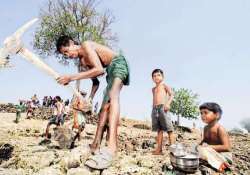 gujarat to raise daily wages of farm labourers by 25 per cent