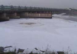 half of delhi s sewage released into yamuna untreated