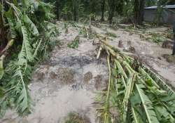 heavy rains damage crops and houses in andhra pradesh