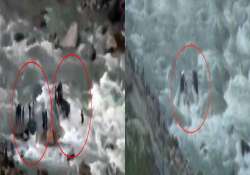 himachal tragedy caught on camera