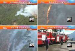 hundreds of trees plants gutted in forest fire in uttarakhand