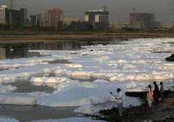 yamuna restoration ngt asks committee to determine flow