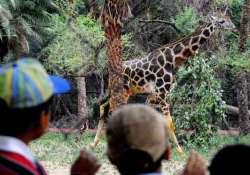 top five attractions of delhi s national zoological park