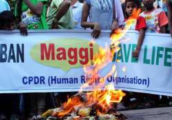 2015 maggi real estate law dominates consumer issues