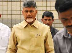 cyclone hudhud chandrababu naidu to leave for coastal andhra