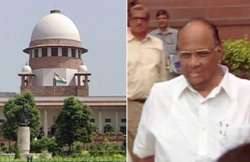 govt will honour sc decision pawar