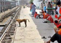 the dog who sacrificed his own life to save train passengers from electrocution