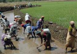 mnrega has helped revive agriculture sector study