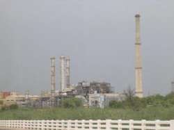 panic grips mathura refinery over spotting a wild beast