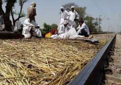 gujjar agitation rajasthan high court pulls up state govt