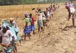 mnrega scam hc directs up to provide staff help to cbi